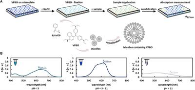 A Straightforward Assay for Screening and Quantification of Biosurfactants in Microbial Culture Supernatants